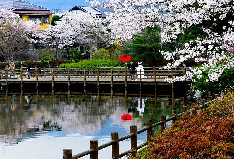 嫁ぐ日 吉田光江