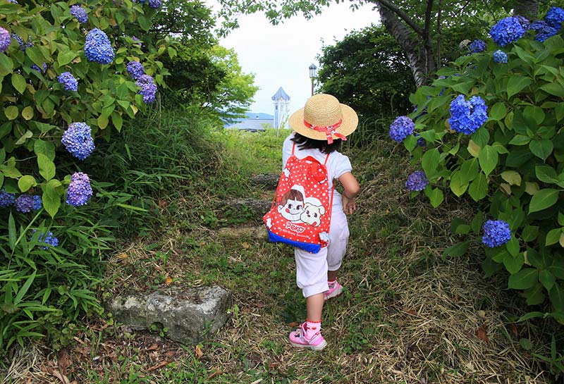 あじさいの小路 穂積博